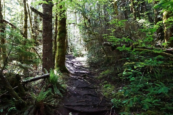 McCredie Hot Springs, Oregon - Trail to Southern Side