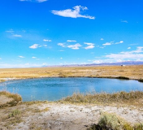 Ruby Valley Hot Springs, Nevada