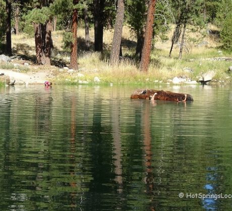 Atlanta Hot Springs - Frog Pond