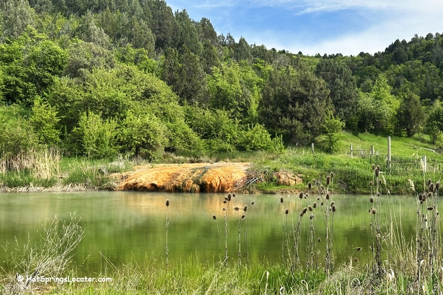 Double J&D Historic Hot Spring Ranch in Idaho: The picture "hot spring pool with lounge chair" captures a small rectangular hot spring pool on a gravel patio with a blue lounge chair and potted plant in the foreground, set against a backdrop of tall pine trees and dramatic cloudy sky.