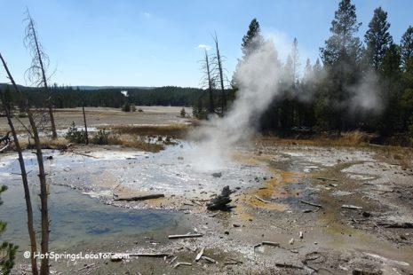 Norris Geyser Basin - Hottest, Most Acidic, and Oldest Thermal Basin in ...