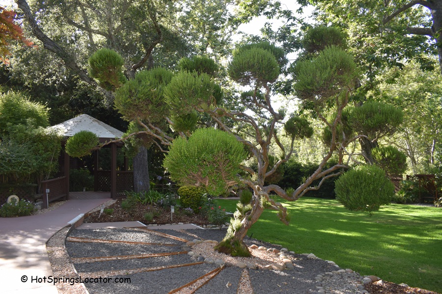 Sycamore Mineral Springs Resort & Spa California: The picture "Sycamore Mineral Springs Resort & Spa California garden gazebo" shows a beautifully landscaped garden with a unique, sculpted tree in the foreground, a gravel path, manicured lawn, and a wooden gazebo nestled among tall trees.