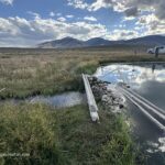 Barney Hot Springs in Idaho: The picture "Barney Hot Springs in Idaho natural pool with logs and trucks" shows a natural hot spring pool edged with wooden logs and rocks, with grassy meadows, several parked trucks, people in the distance, and mountains under a partly cloudy sky.