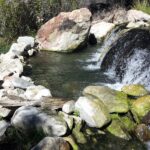 Goldbug Hot Springs, Idaho