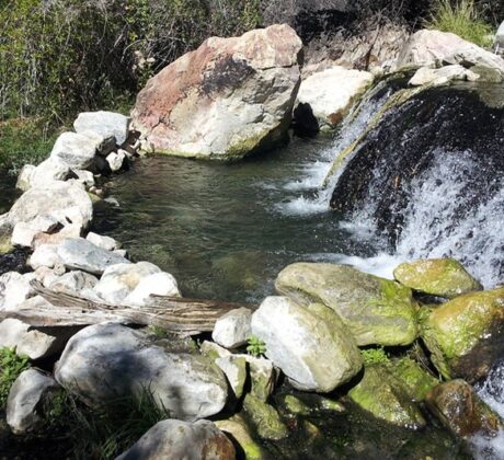 Goldbug Hot Springs, Idaho