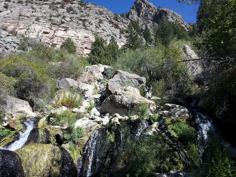Goldbug Hot Springs, Idaho